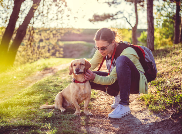 A woman crouches beside her dog on a sunny walking trail in a wooded outdoor area.