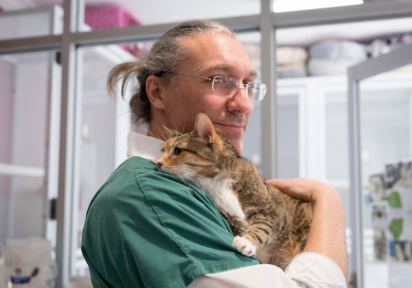 A veterinarian in green scrubs holds and comforts a tabby cat inside a veterinary clinic.
