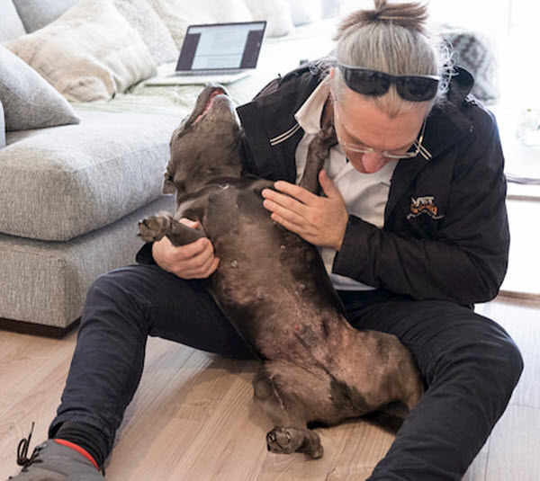 A man sits on the floor indoors while playfully cuddling and rubbing the belly of a black dog.