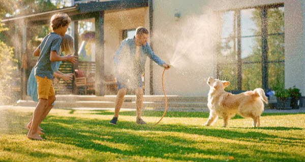 A family plays with a dog on a sunny lawn while spraying water from a garden hose to help the pet cool down.
