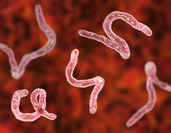 Illustrated microscopic hookworms appear against a red background, showing the parasite’s curved worm-like shape.